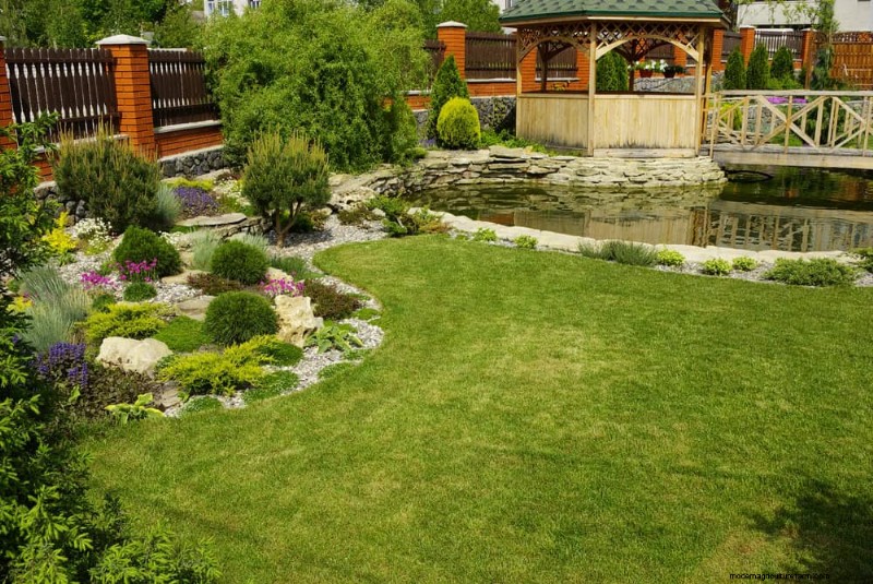 25 plantes essentielles pour une oasis de jardin tranquille d’inspiration zen