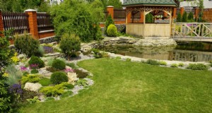 25 Essential Plants for a Tranquil Zen‑Inspired Backyard Oasis