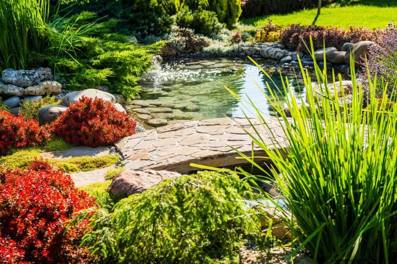 25 plantes essentielles pour une oasis de jardin tranquille d’inspiration zen