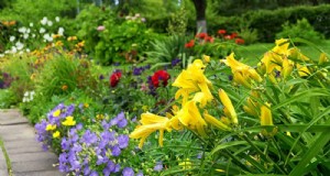 21 Bewezen strategieën om uw tuin te transformeren met wilde bloemen 