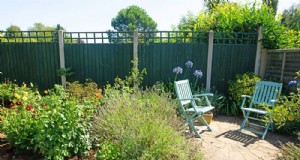 28 plantes nécessitant peu d’entretien pour un jardin magnifique et sans tracas 