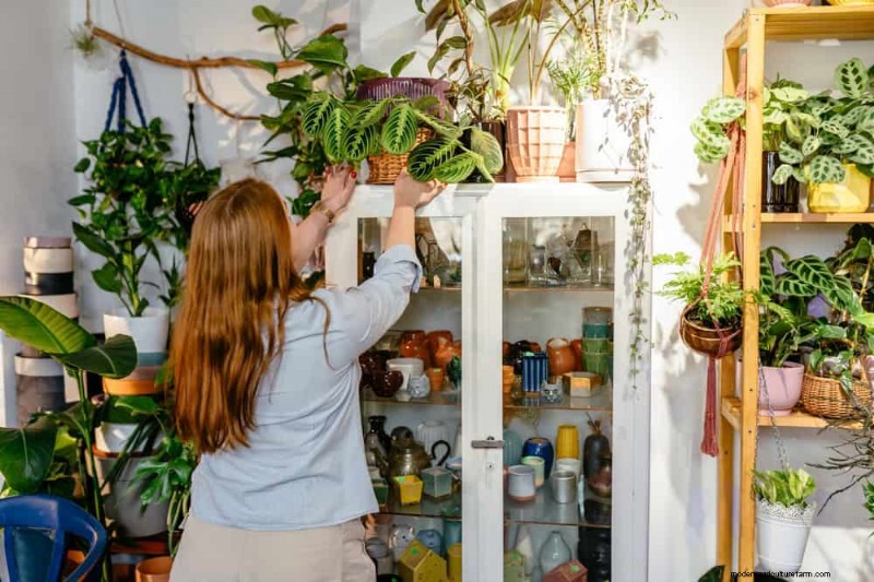 Hoe verwelkende bladeren van gebedsplanten nieuw leven in te blazen:12 bewezen verzorgingstips 