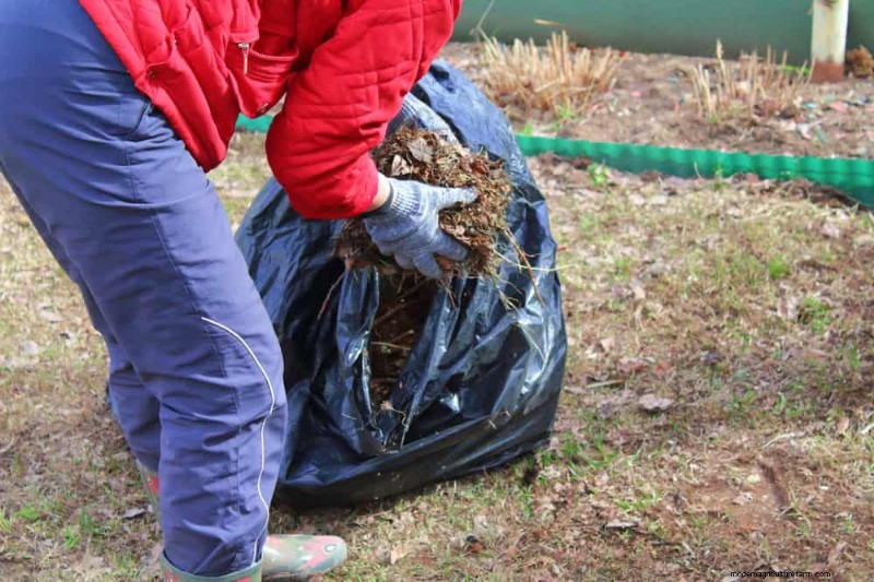 12 door experts ondersteunde tactieken voor het uitroeien van wintermuggen 