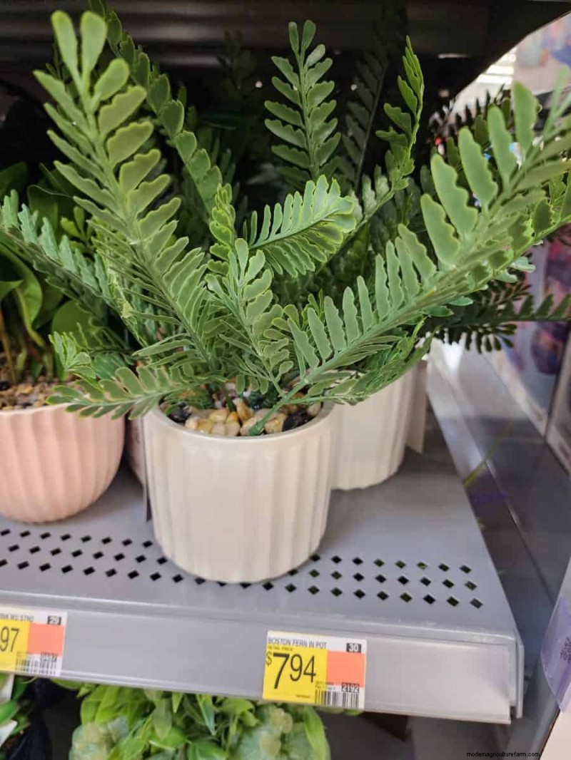 Under $15 Faux Plants på Walmart:Snygga val med lågt underhåll 