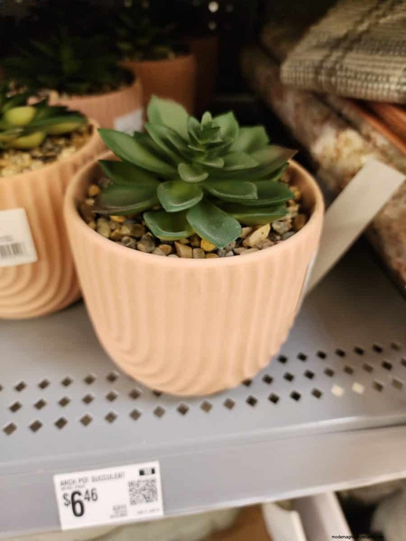 Under $15 Faux Plants på Walmart:Snygga val med lågt underhåll 