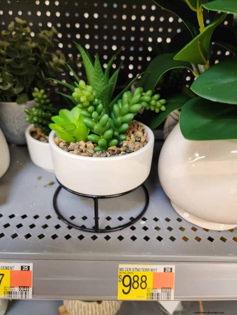 Under $15 Faux Plants på Walmart:Snygga val med lågt underhåll 