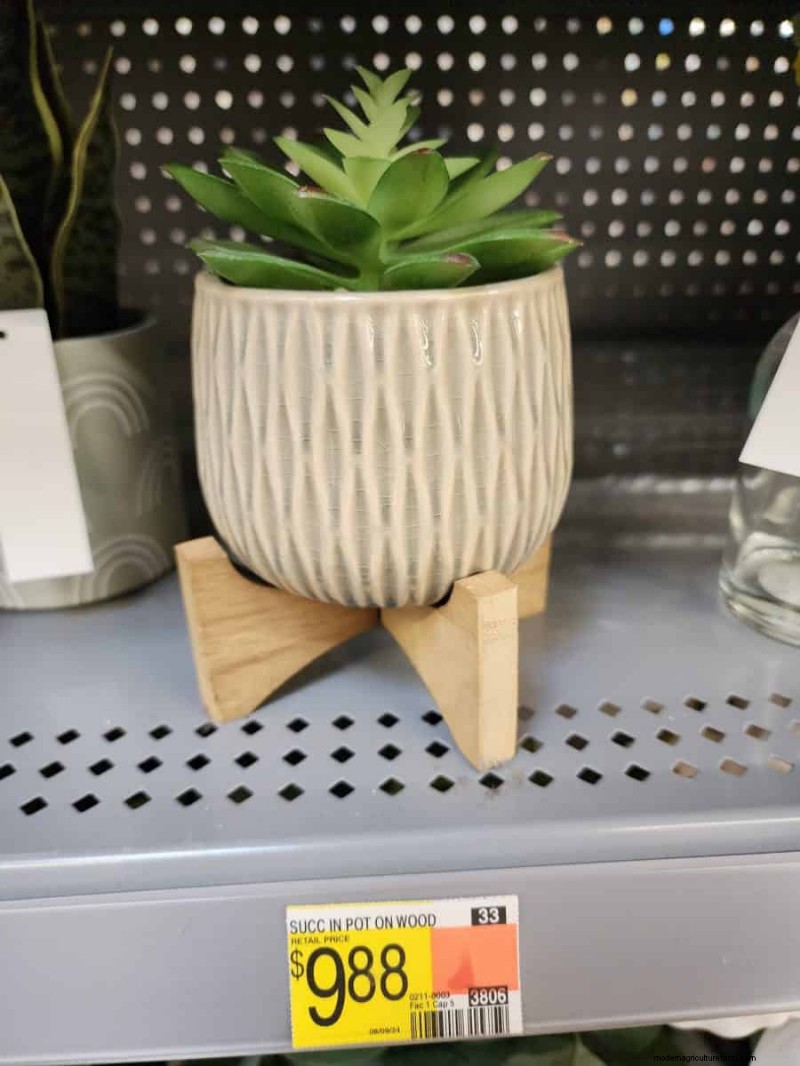 Under $15 Faux Plants på Walmart:Snygga val med lågt underhåll 