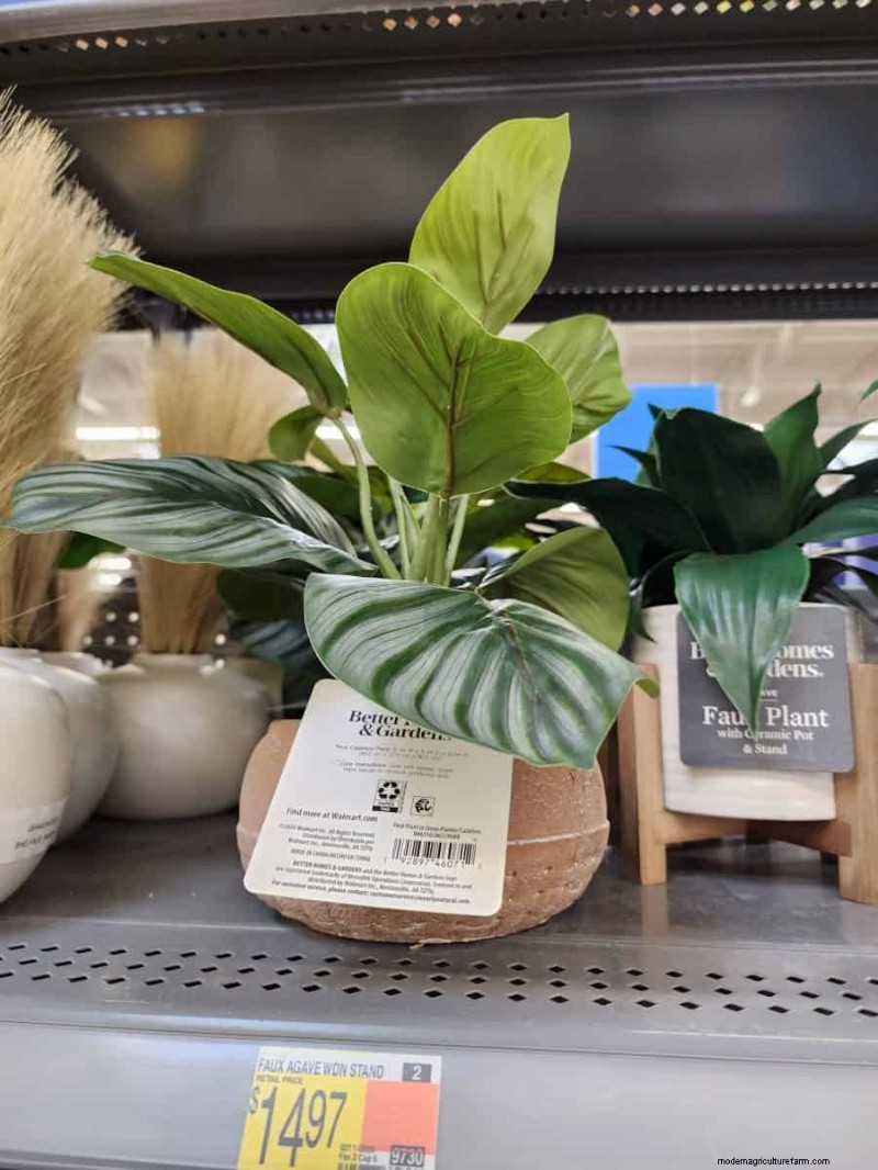 Under $15 Faux Plants på Walmart:Snygga val med lågt underhåll 