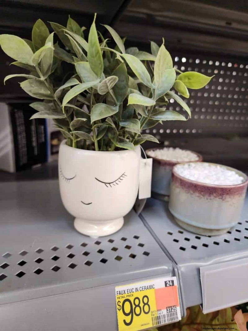 Under $15 Faux Plants på Walmart:Snygga val med lågt underhåll 