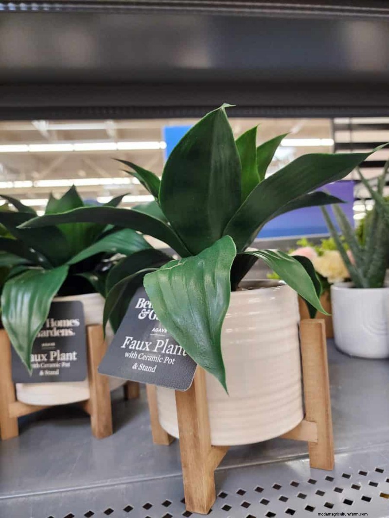 Under $15 Faux Plants på Walmart:Snygga val med lågt underhåll 