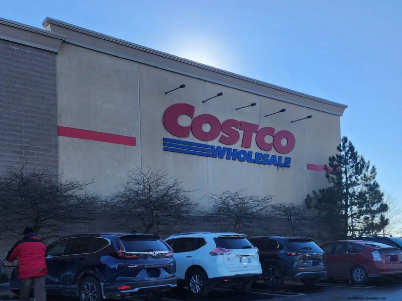 Collection de plantes d hiver 2026 de Costco :10 trouvailles incontournables 