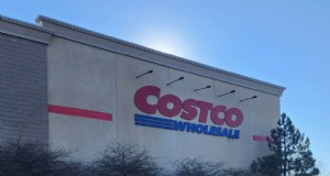 Collection de plantes d hiver 2026 de Costco :10 trouvailles incontournables 