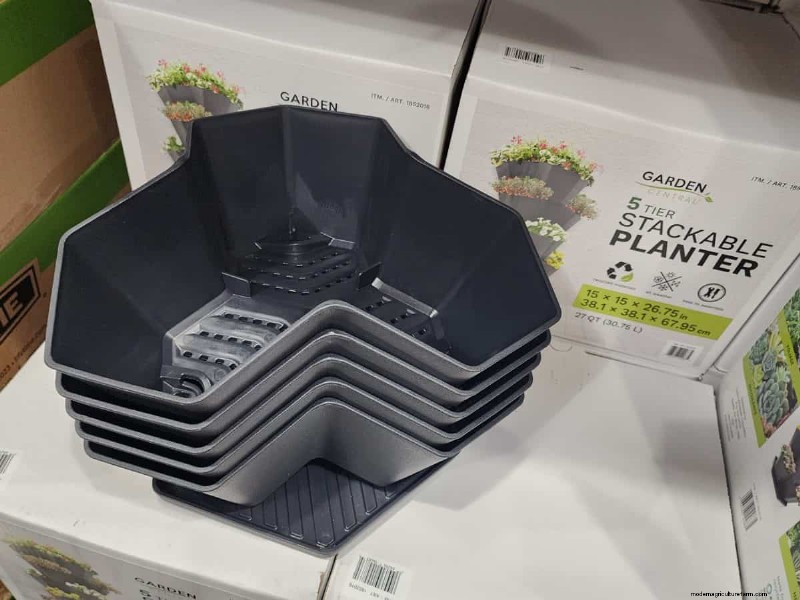 Collection de plantes d hiver 2026 de Costco :10 trouvailles incontournables 
