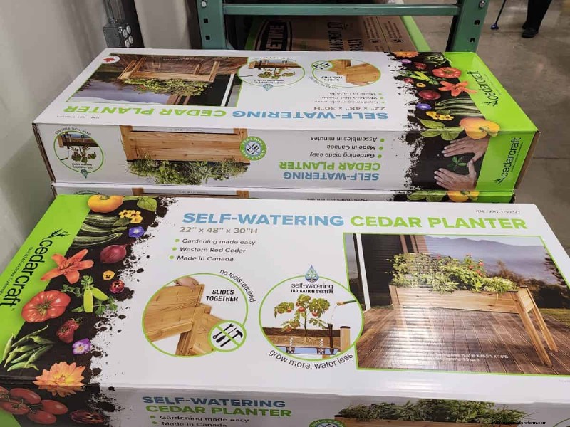 Collection de plantes d hiver 2026 de Costco :10 trouvailles incontournables 