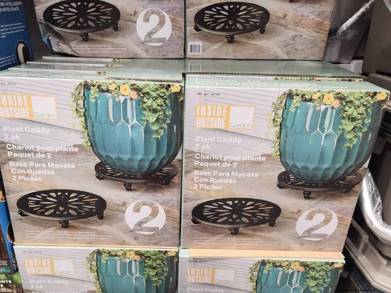 Collection de plantes d hiver 2026 de Costco :10 trouvailles incontournables 