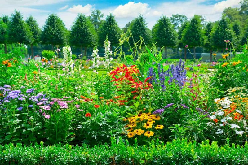 21 plantes aux tons chauds pour planifier le jardin printanier de vos rêves (approuvées par les paysagistes) 