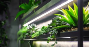 14 Expert‑Backed Ways to Maximize Grow Light Strips for Indoor Gardening