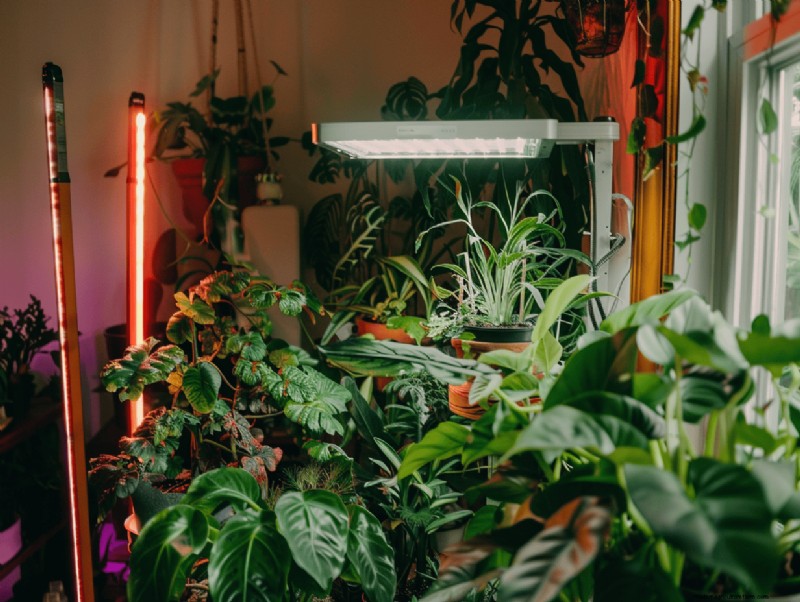 14 façons soutenues par des experts d optimiser les bandes lumineuses de culture pour le jardinage intérieur 