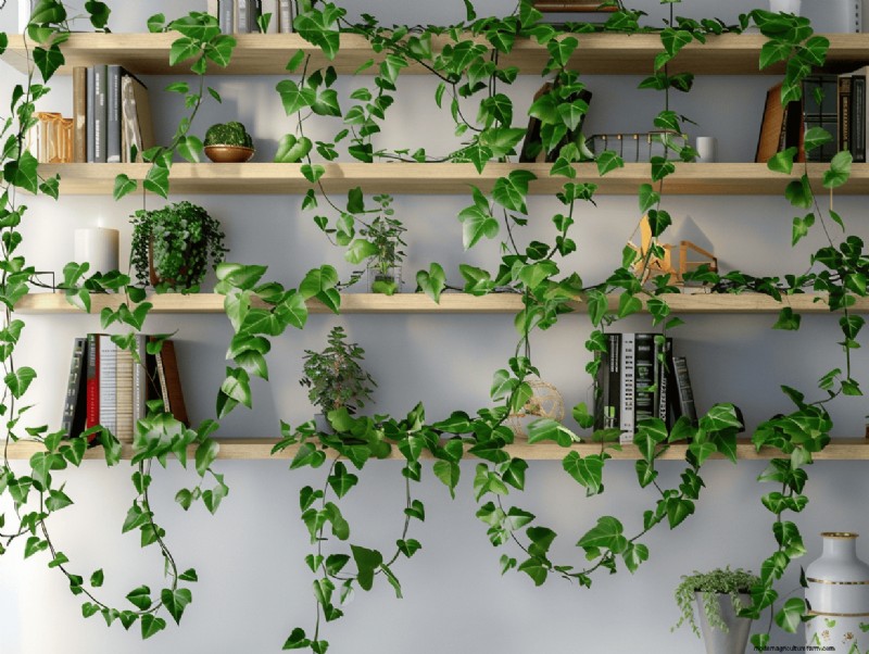 あなたの棚を見事な植物ディスプレイに変えるための 13 の専門家戦略 