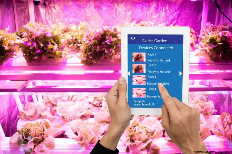 Master Berkebun Dalam Ruangan:15 Tip Terbukti untuk Menanam Tanaman di Bawah Lampu Buatan – Panduan Penyiapan Lengkap 