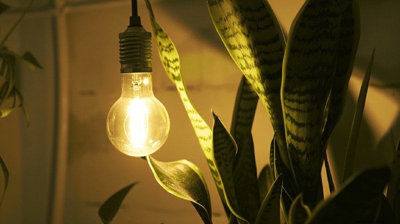 Master Berkebun Dalam Ruangan:15 Tip Terbukti untuk Menanam Tanaman di Bawah Lampu Buatan – Panduan Penyiapan Lengkap 