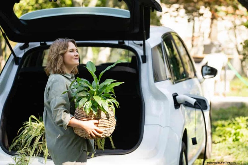 10 Tips Terbukti untuk Transportasi Tanaman Hias Musim Dingin yang Aman