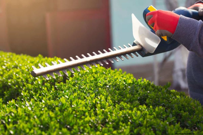 Hoe lang gaan Stihl-trimmers mee? Deskundige gids voor levensduur en verzorging 