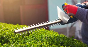 Hoe lang gaan Stihl-trimmers mee? Deskundige gids voor levensduur en verzorging 