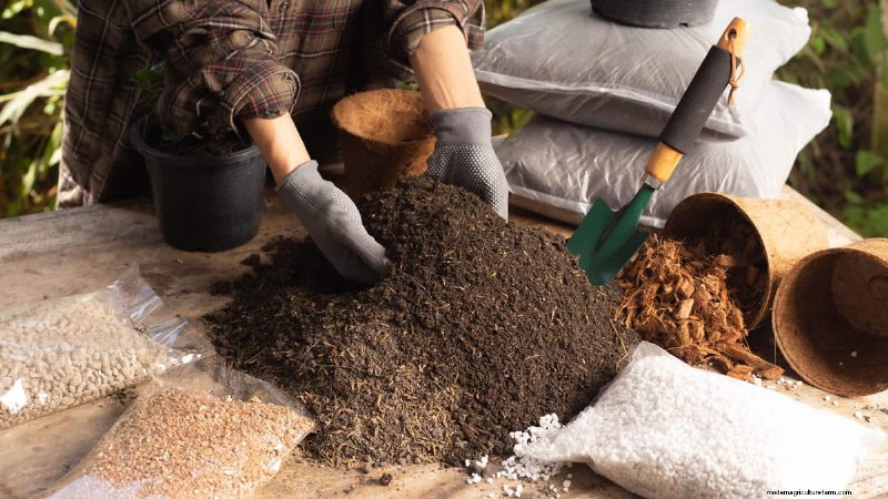 Is bodemverdichting nodig bij het planten? Deskundige begeleiding voor tuiniers 