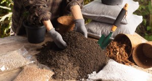 Le compactage du sol est-il nécessaire lors de la plantation ? Conseils d experts pour les jardiniers 
