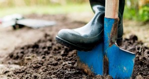 Terre de jardin dure ? Diagnostiquer les causes et restaurer un sol mou et sain dès aujourd hui 
