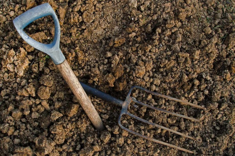 Terre de jardin dure ? Diagnostiquer les causes et restaurer un sol mou et sain dès aujourd hui 