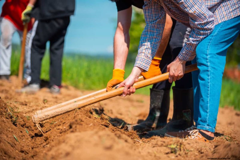 Terre de jardin dure ? Diagnostiquer les causes et restaurer un sol mou et sain dès aujourd hui 