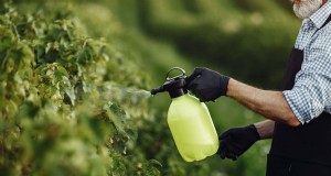 Il recinto liquido è sicuro per gli orti? Una guida pratica 