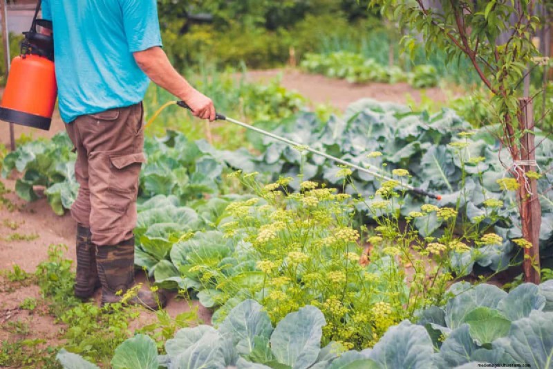 リキッドフェンスは菜園にとって安全ですか?実践的なガイド 