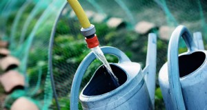 Pouvez-vous arroser à travers un filet de jardin ? – Un guide pratique 
