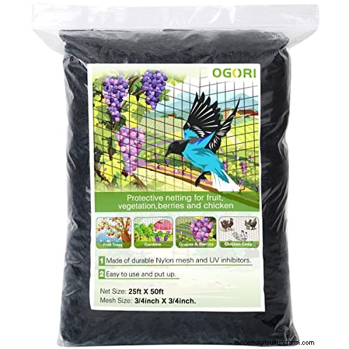 Pouvez-vous arroser à travers un filet de jardin ? – Un guide pratique 