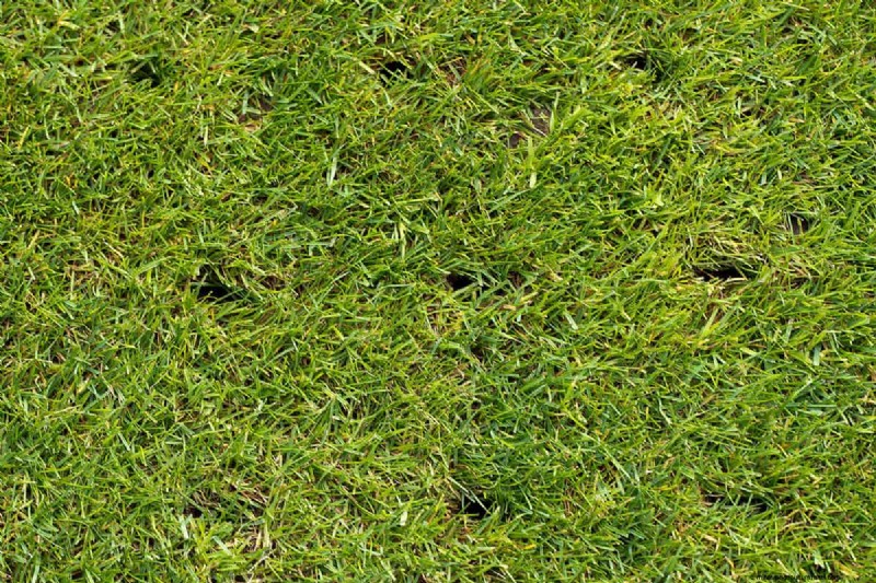 Optimale afstand tussen de beluchtingsgaten voor een gezond gazon 