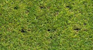 Optimale afstand tussen de beluchtingsgaten voor een gezond gazon 