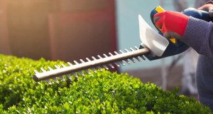 Förhindra och fixa en fastklämd häcksax:Expert DIY Guide 