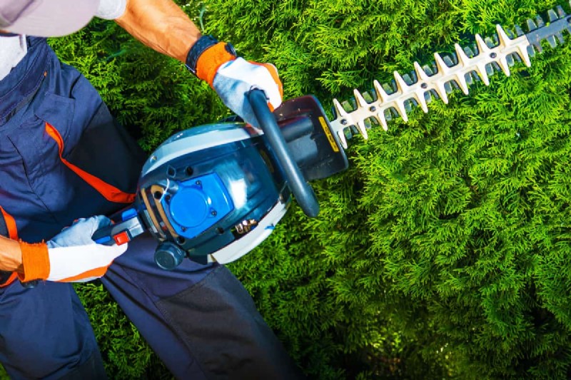 Förhindra och fixa en fastklämd häcksax:Expert DIY Guide 