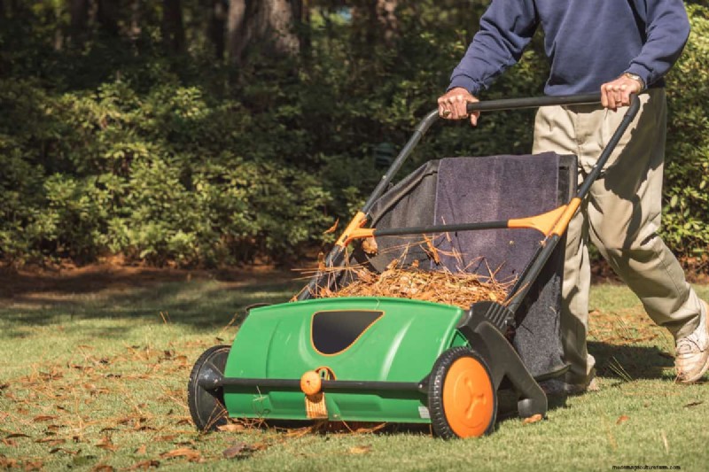 Efficiënt dennenappels verwijderen:tips van experts voor een schone tuin