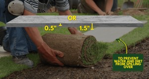 Must Sod Be Level With Concrete? Why It Should Be Lower for Drainage and Safety