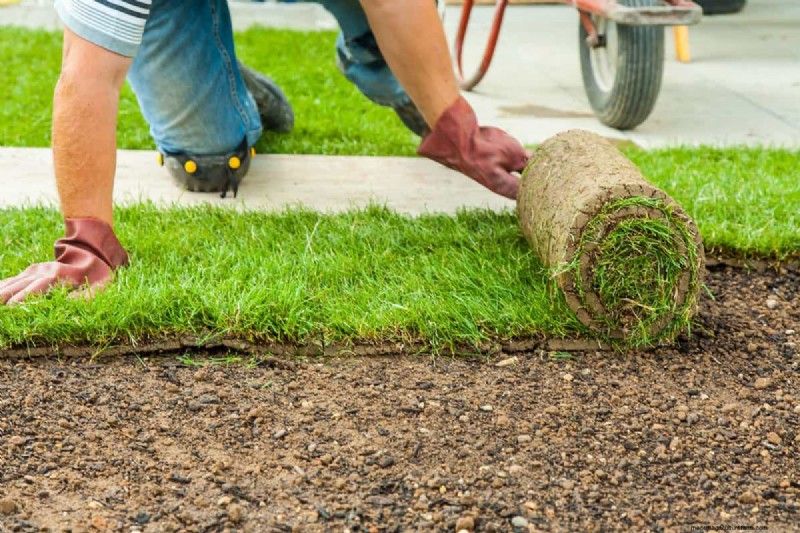 Moet de graszode gelijk liggen met beton? Waarom het lager zou moeten zijn voor drainage en veiligheid 