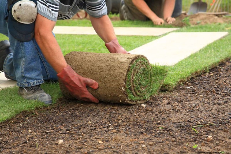 Moet de graszode gelijk liggen met beton? Waarom het lager zou moeten zijn voor drainage en veiligheid 
