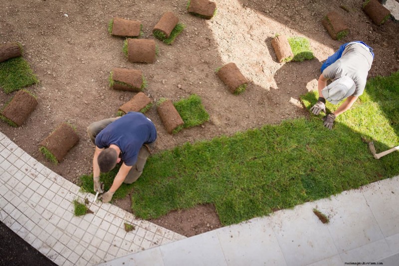 Moet de graszode gelijk liggen met beton? Waarom het lager zou moeten zijn voor drainage en veiligheid 