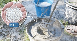 Hoe u lichtgewicht, duurzame betonnen plantenbakken kunt bouwen voor langdurig tuinieren in containers 