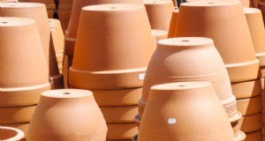 Comment sceller des pots en terre cuite :5 techniques expertes pour la longévité et la santé des plantes 