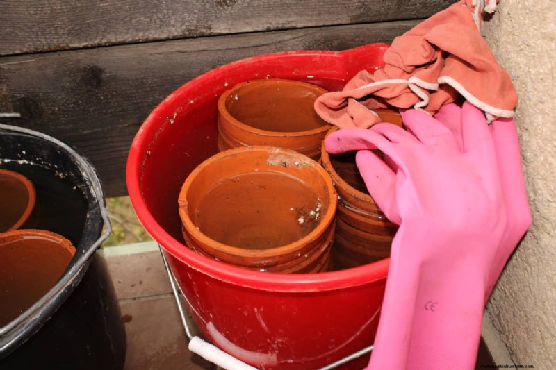 Comment sceller des pots en terre cuite :5 techniques expertes pour la longévité et la santé des plantes 