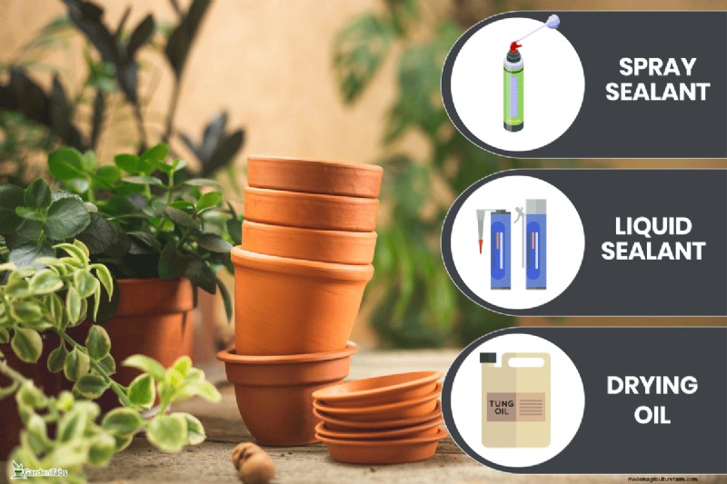Comment sceller des pots en terre cuite :5 techniques expertes pour la longévité et la santé des plantes 